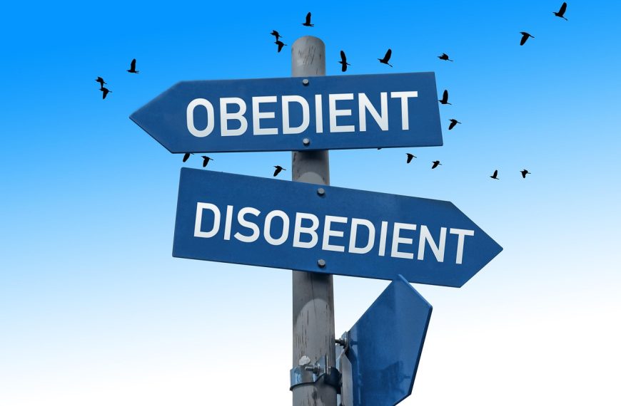 obedience, disobedience, signpost, direction, dominance, subservience, arrows, to obey, board, school, to learn, consequences, follow, command, arrangement, subordinate, add, power, powerful, subject, sad, to rule